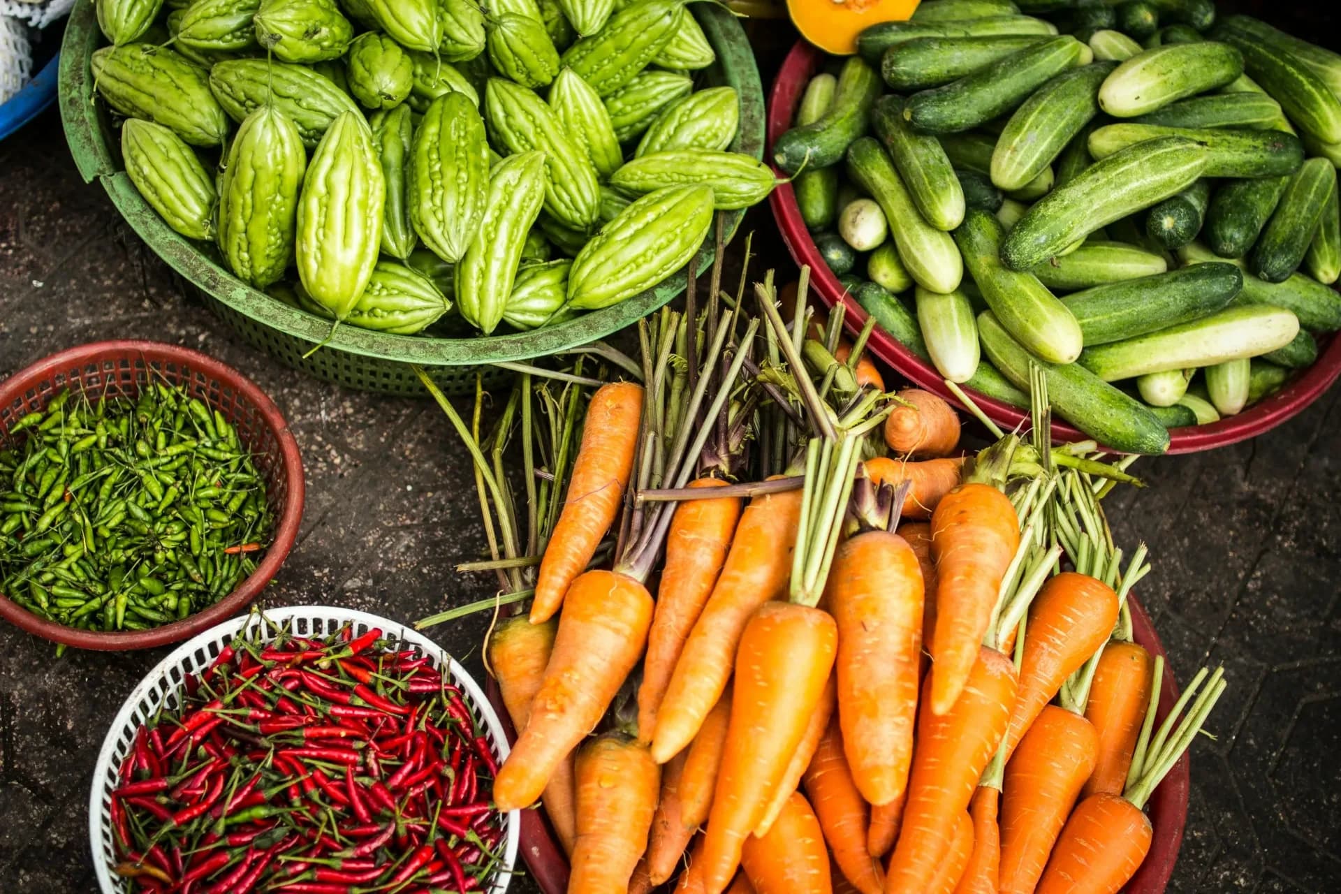 Vegetable fields and growing rows on a partner farm in the Netherlands