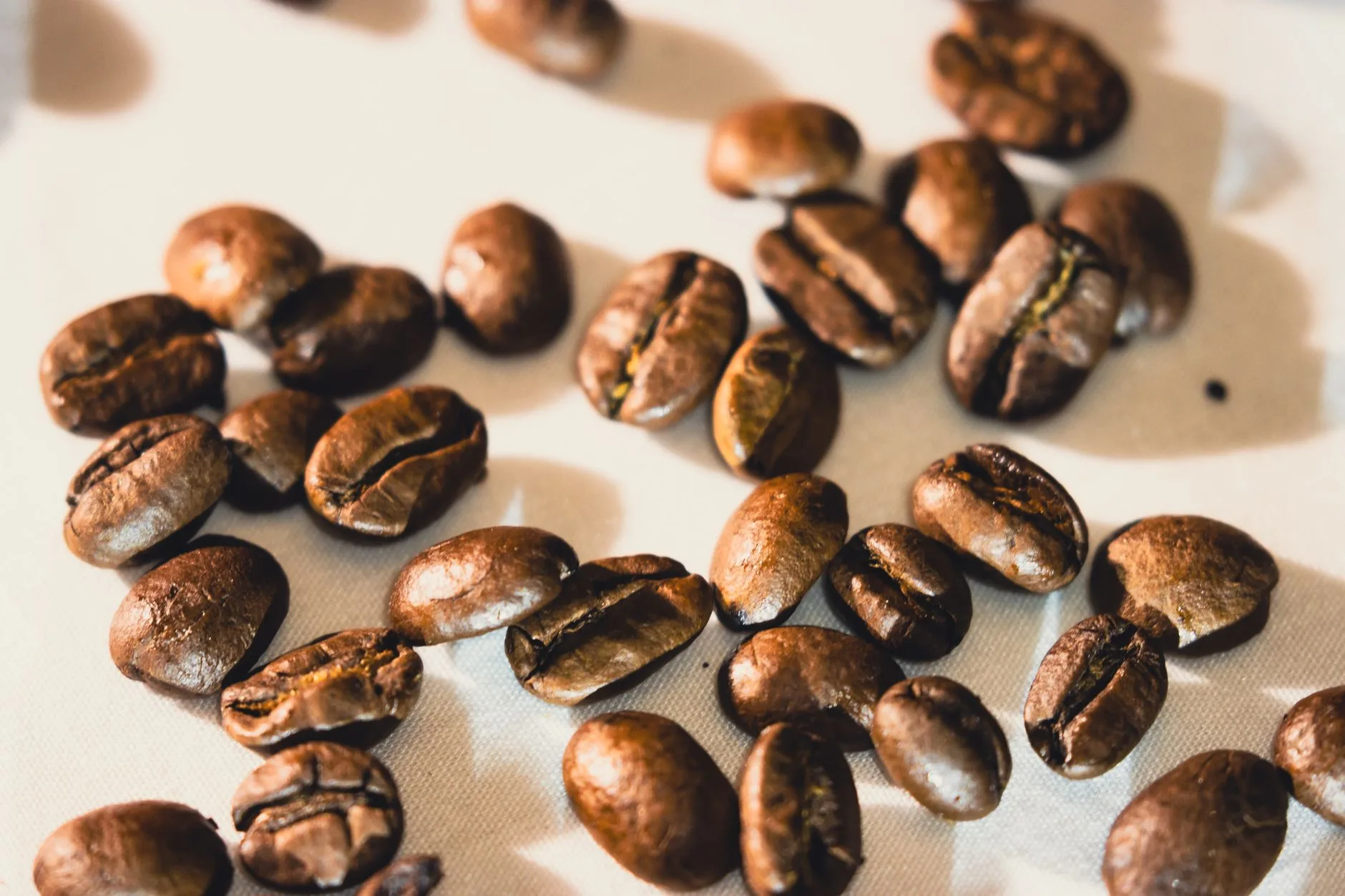 Single-origin coffee beans with warm roasted tones and natural texture