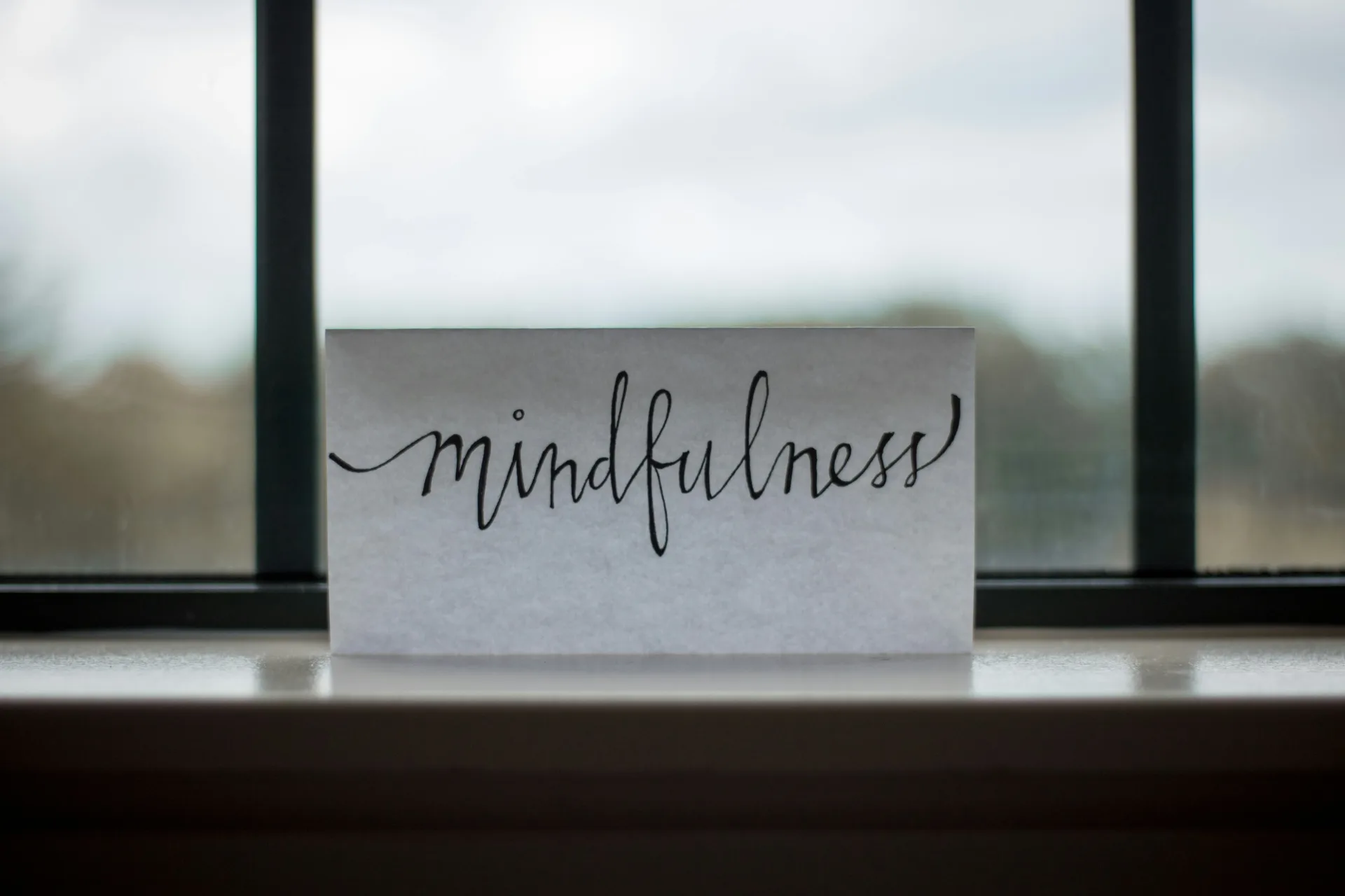 Hands holding a notebook during a reflective wellbeing session