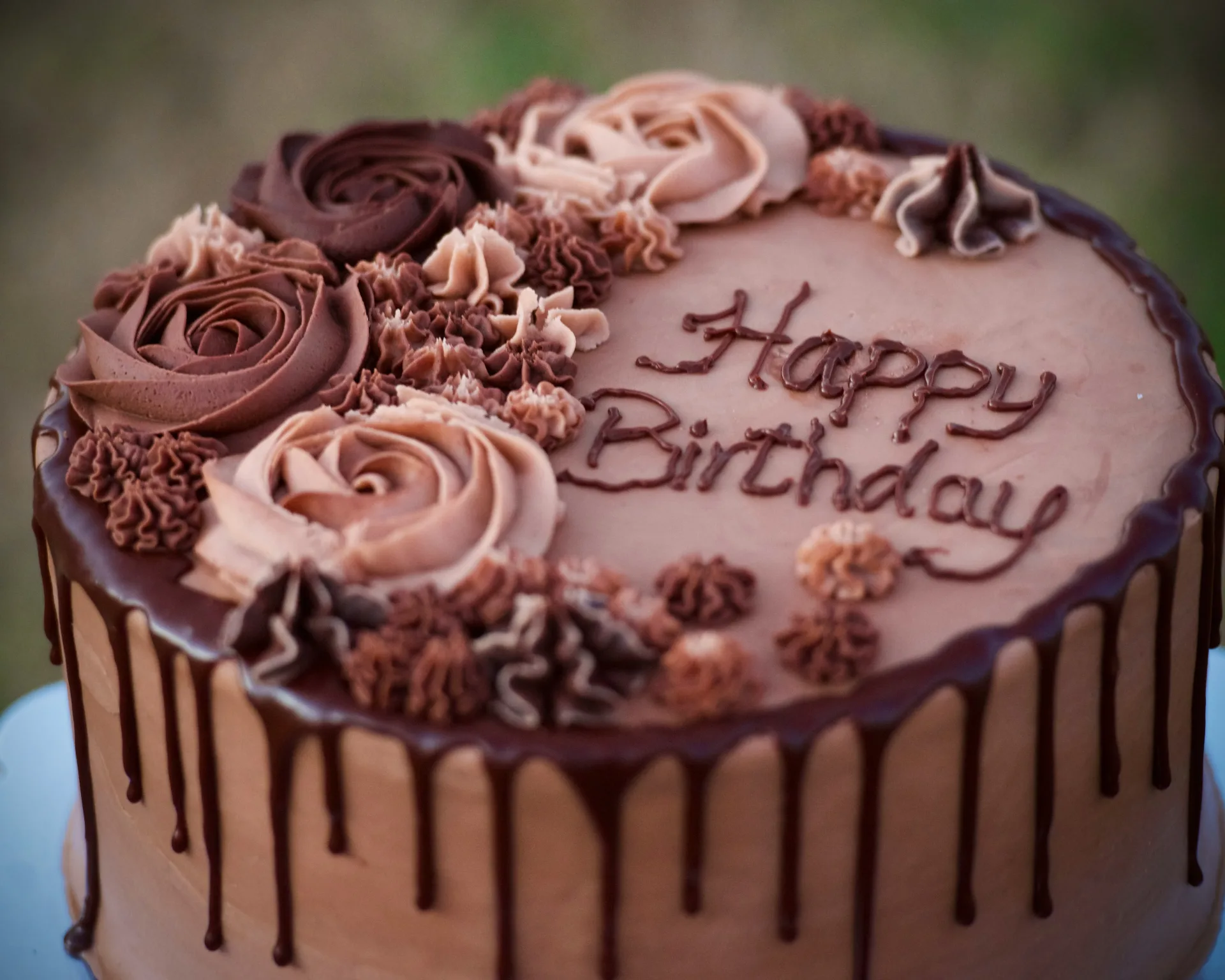 Celebration cake from the bakery for special occasions
