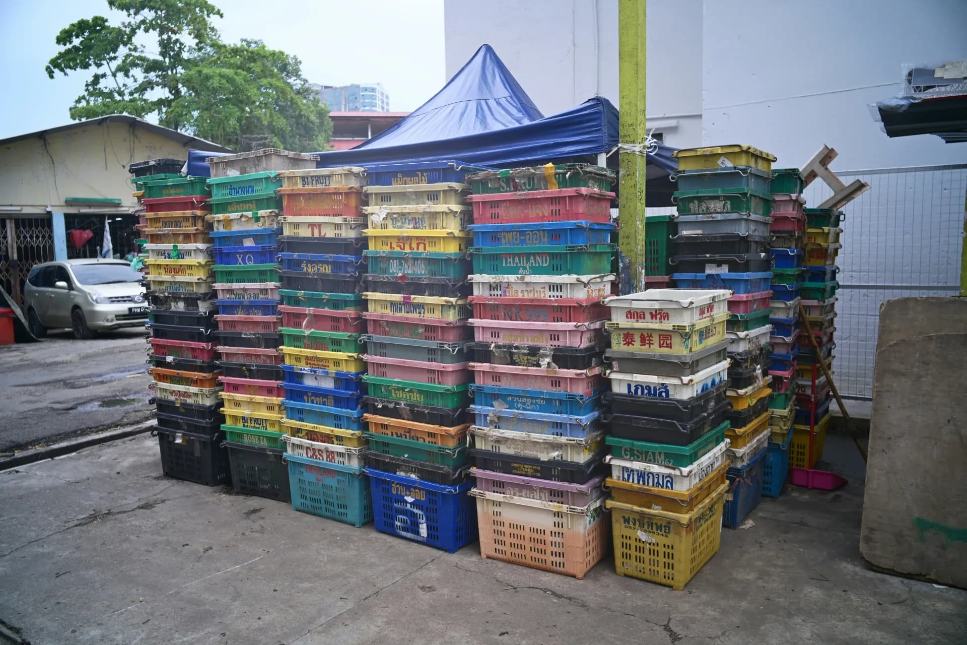 Vegetables packed into crates for transport from farm to delivery
